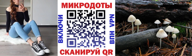 цены   Касли  Псилоцибиновые грибы Cubensis 